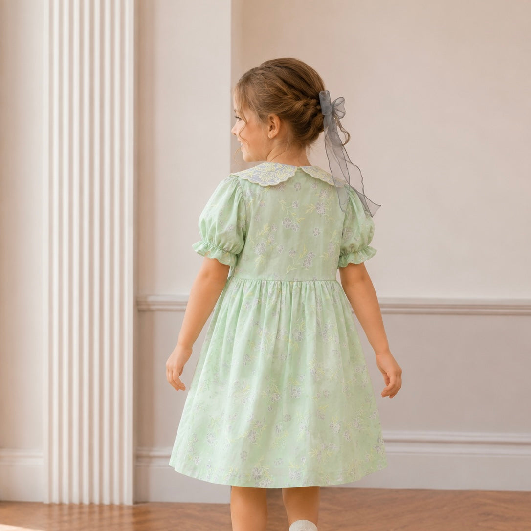 Mint Lilac Collar Embroidered A-Line Dress