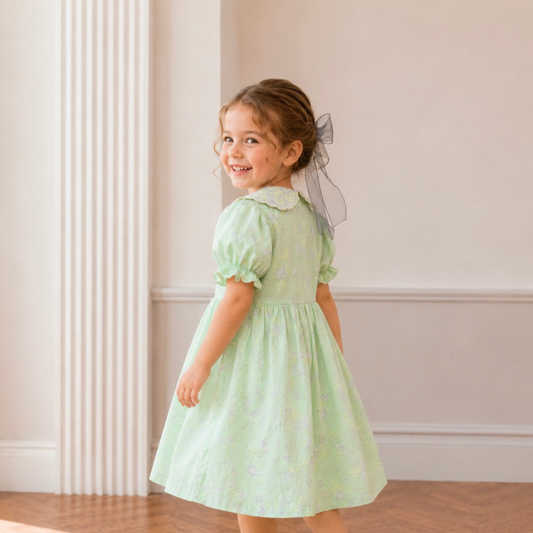 Mint Lilac Collar Embroidered A-Line Dress