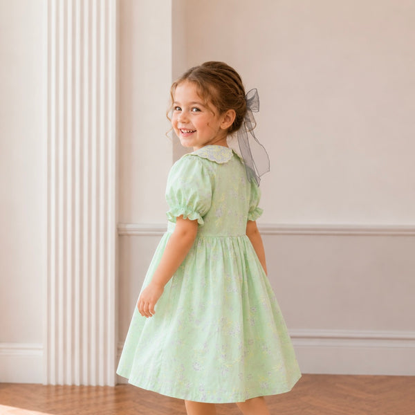 Mint Lilac Collar Embroidered A-Line Dress