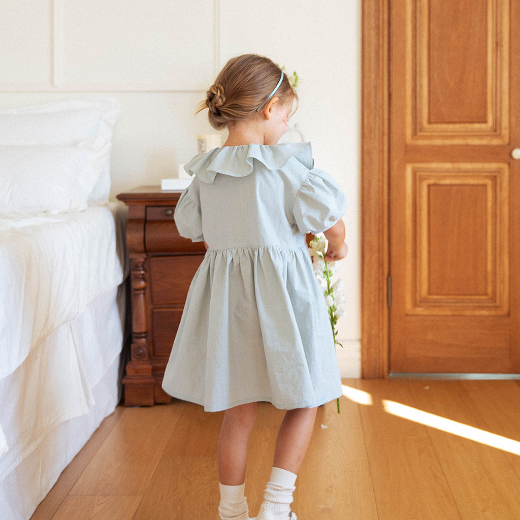 Flower Jeanne Pleated Midi Dress - Blue